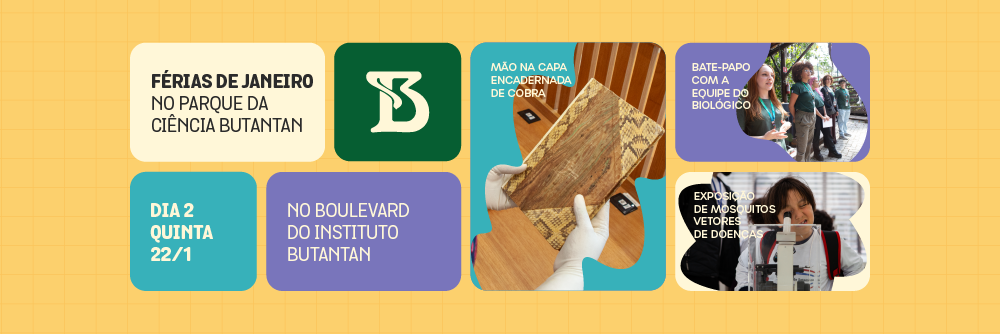 Arte com pequenos quadrados que mostram os destaques do segundo dia da programação de férias do Parque da Ciência